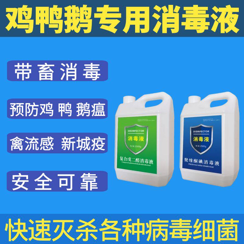 鸡鸭鹅消毒液养鸡鸭鹅用场舍厂棚消毒液养殖场专用兽用消毒液剂水