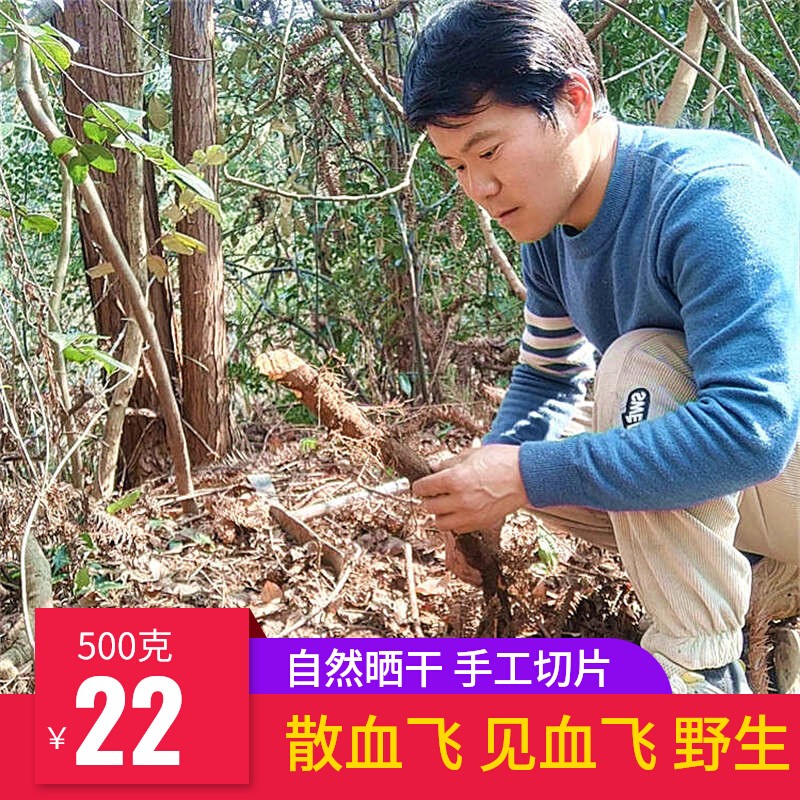 大别山野生中药材散血飞黄椒刺