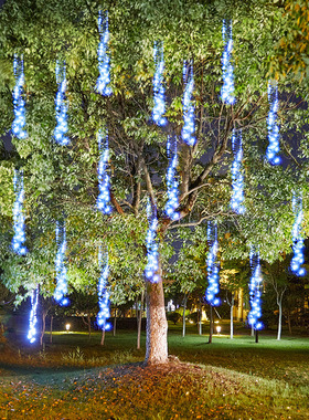 LED流星雨鞭炮灯串户外庭院防水大树挂灯亮化装饰彩灯满天星串灯