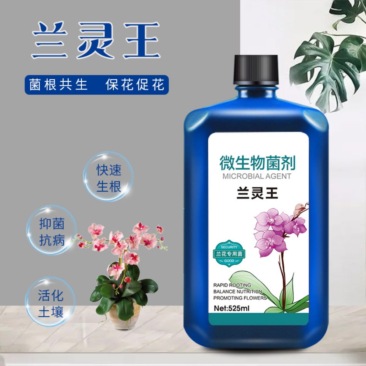 兰灵王兰花专用营养液兰草EM菌肥