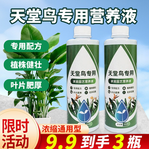 【绿叶状根】天堂鸟专用营养液