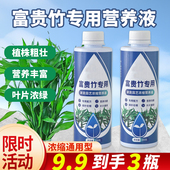 富贵竹专用营养液水培治黄叶促生根转运竹观音竹家用盆栽通用肥料