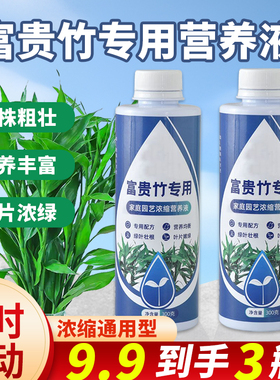 富贵竹专用营养液水培治黄叶促生根转运竹观音竹家用盆栽通用肥料