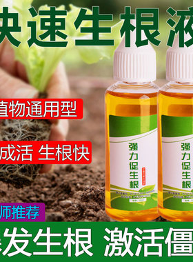快速生根液绿植物通用扦插移栽花卉树木强力壮苗生根剂多肉生根粉