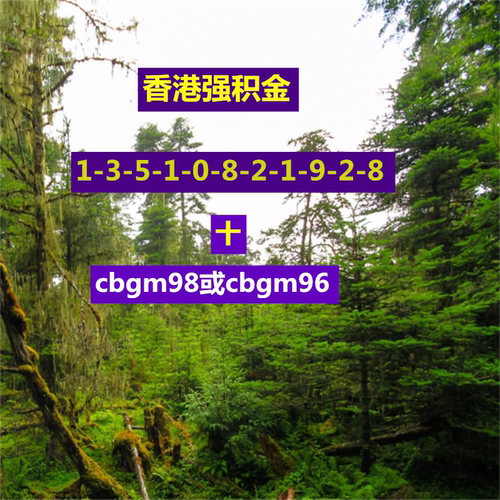 香港非永居临时身份香港强积金/MPF/申请/文书/指导/咨询服务