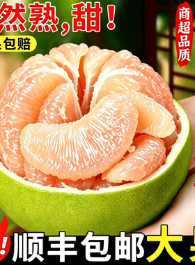 【顺丰包邮】度尾文旦柚一口爆汁