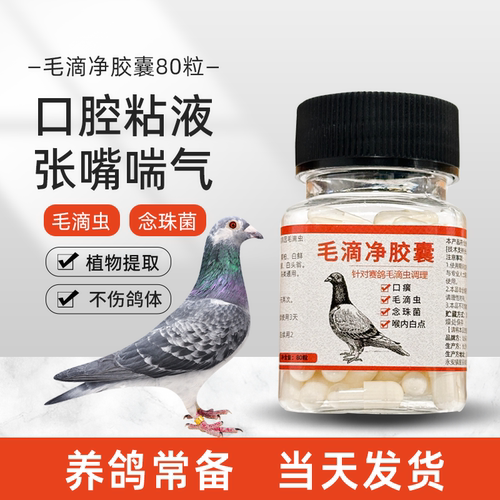 鸽子胶囊型口黄念珠菌口腔白点口腔粘液呼吸道鸟类用品大全