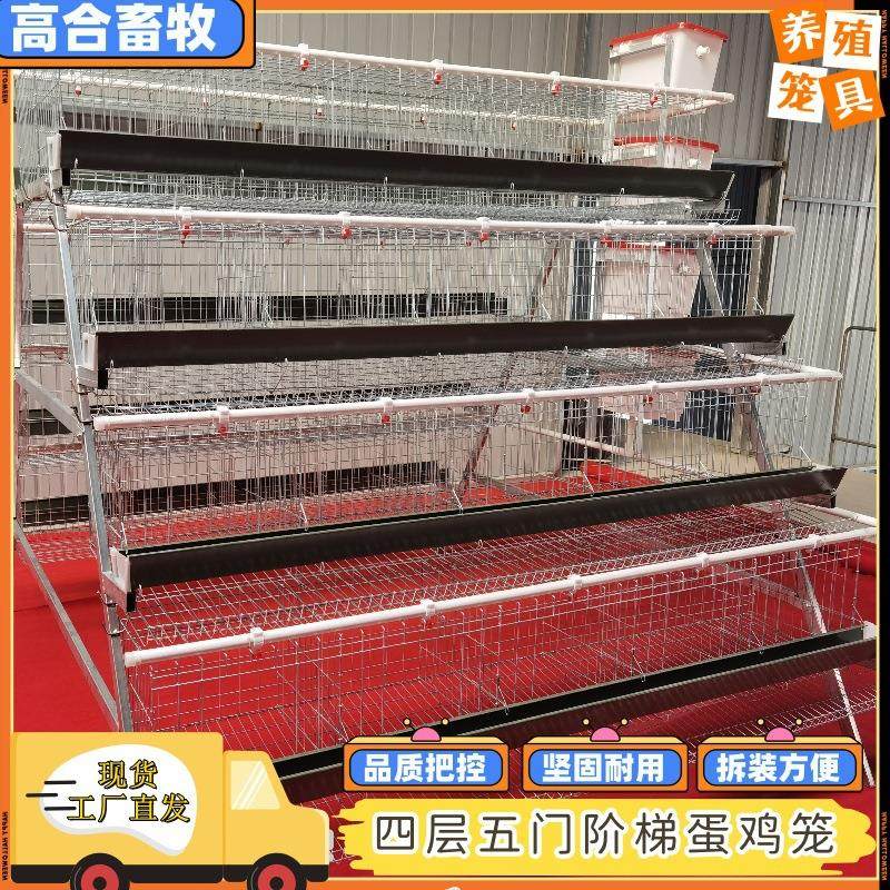 A型蛋鸡笼阶梯型四层五门蛋鸡笼绿食槽养殖工厂鸡笼镀锌可供外,农机/农具/农膜,农用防护器具,淘宝优惠券,粉丝福利购,淘宝优惠卷