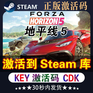 地平线5steam激活码cdk全dlc游戏极限竞速地平线5