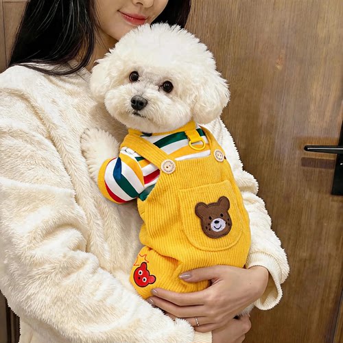 狗狗衣服秋季彩虹小熊背带裤泰迪比熊小型犬可牵引日常外出四脚衣