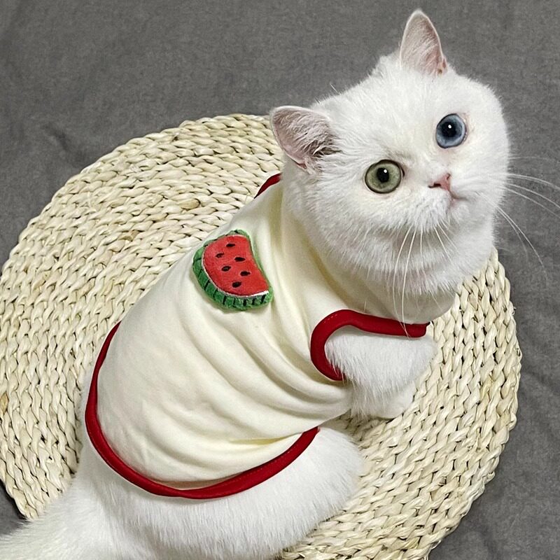 猫咪衣服春夏季薄款背心布偶蓝猫德文防掉毛透气纯棉宠物狗狗服饰