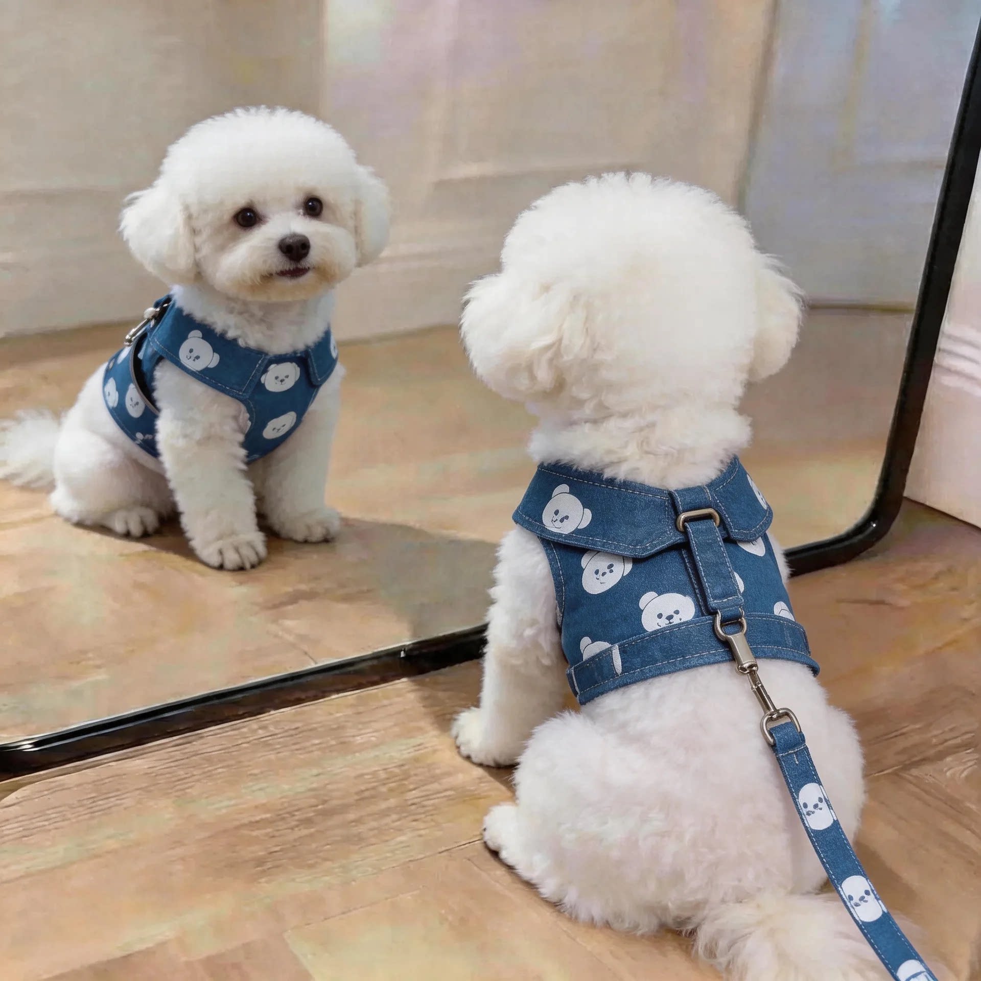 宠物狗狗牵引绳牛仔透气胸背带比熊泰迪博美中小型犬牵引式外出用