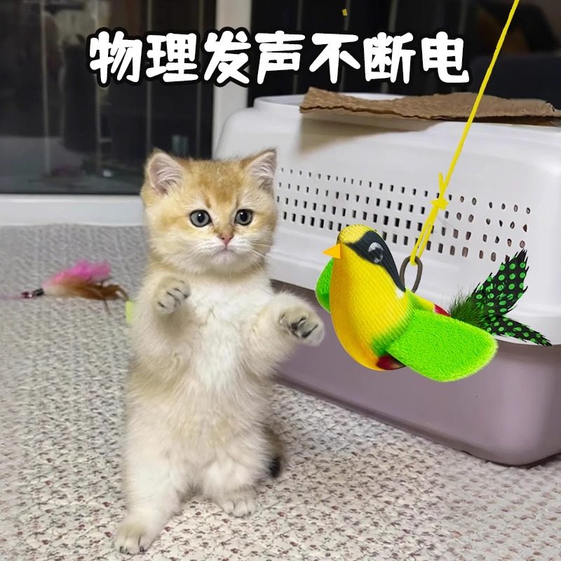 猫咪玩具仿真小鸟荡秋千逗猫棒宠物自嗨解闷消耗体力挂门叫叫鸟