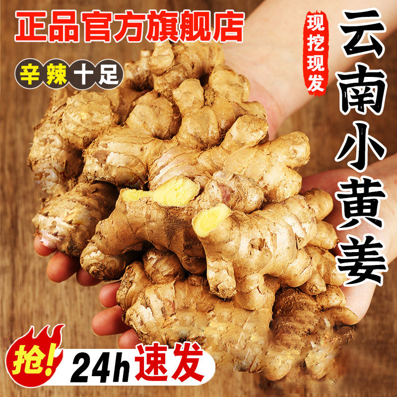 正宗云南小黄姜旗舰店现挖老姜高山沙姜土姜种子农家自种姜香味浓
