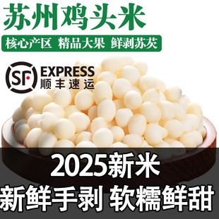 鸡头米2025年新货芡实仁当天采摘芡实养胃半成品手剥苏州特产冷冻