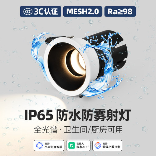 已接入米家APPMesh2.0防水射灯