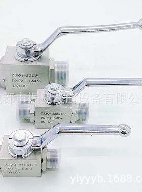 GEMELS高压球阀高压门 GE球阀GE2 N1/2  DN1阀 11311AB