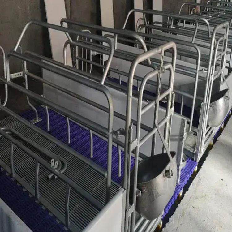 欧式分娩母猪产床 定位架挡杠 畜牧饲养机械