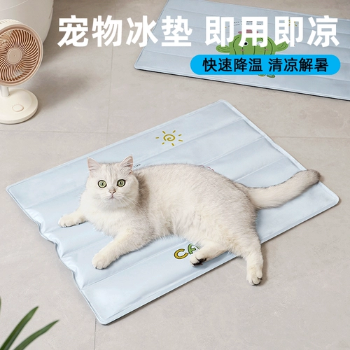 Подушка для домашнего льда летняя кошка спящая кошачья кошачья кошка Западная подушка собаки собак охлаждает ледяное гнездо лето и укусить холодную подушку