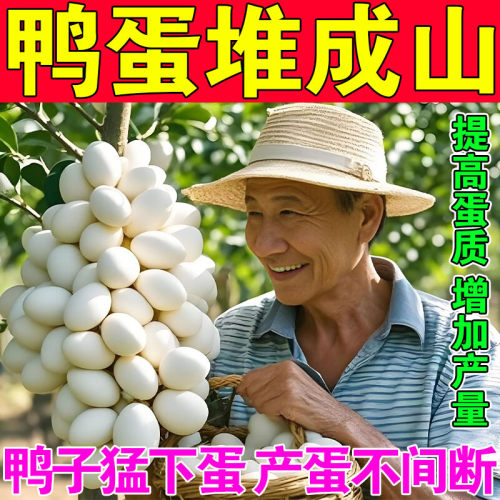 蛋多多增蛋兽用增蛋宝芦丁鸡鸭鹅鸽用产蛋灵专用下蛋宝饲料添加剂