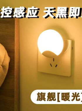 智能夜光灯晚上自动亮光控灯天黑即亮插电式人体感应灯卧室小夜灯