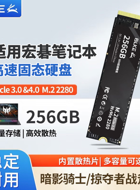 适用宏碁笔记本SSD固态硬盘1tb 掠夺者暗影骑士擎电脑ssd固态硬盘