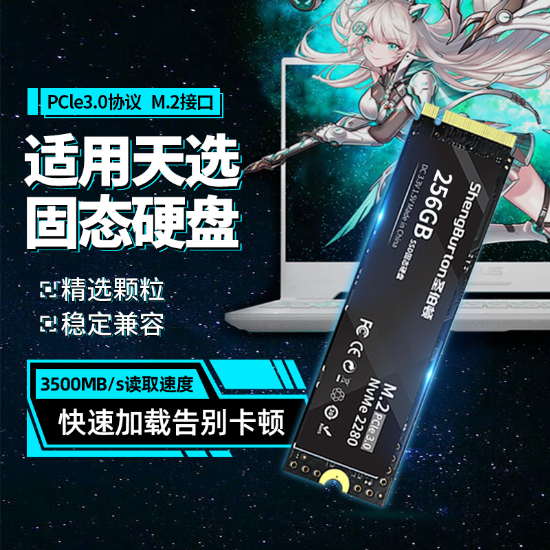 1tbPCI-E3.0固态硬盘