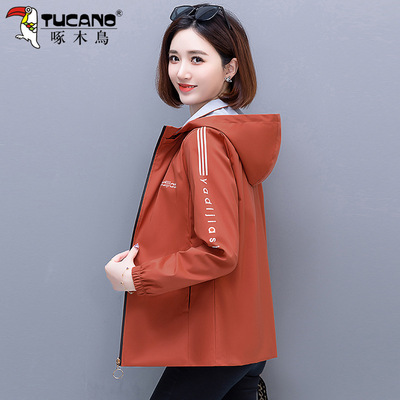 啄木鸟短款风衣外套女款春秋季2