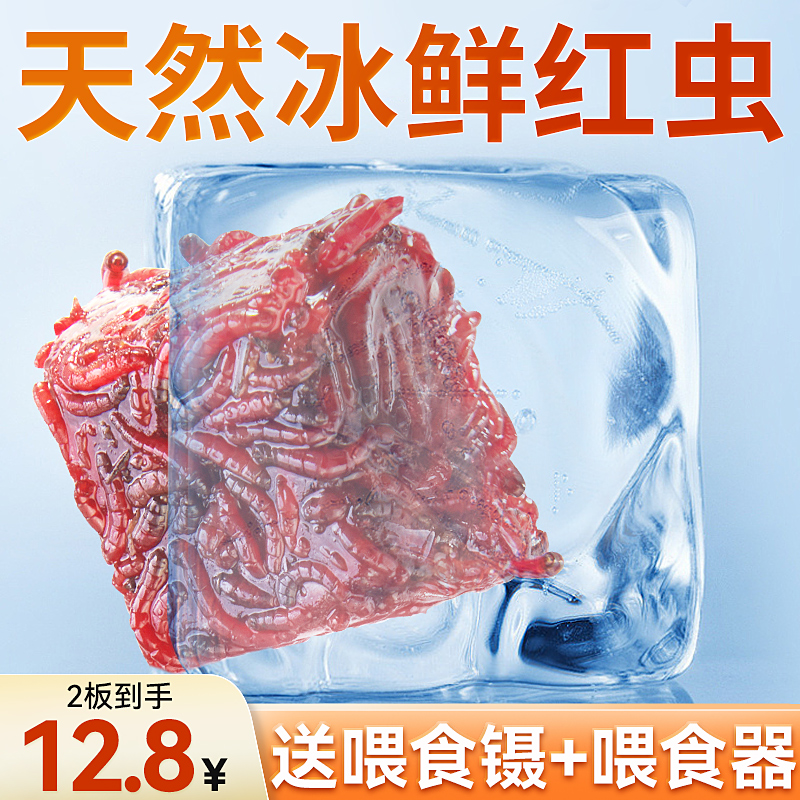 冰冻红虫牛心汉堡鱼食丰年虾罗汉鱼食七彩神仙鱼粮鱼六角恐龙饲料