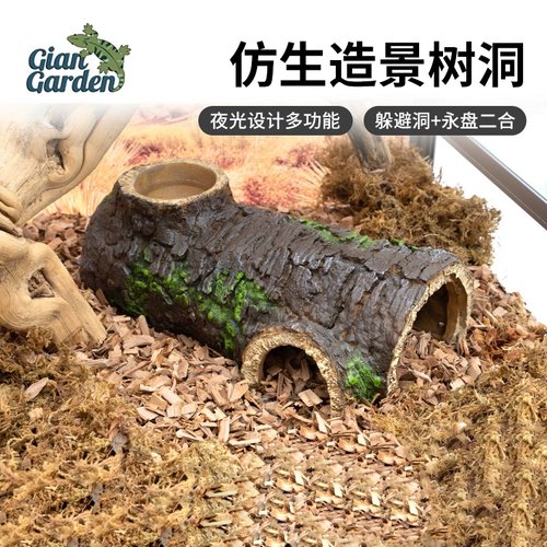 Giangarden巨人爬宠蜥蜴守宫躲避