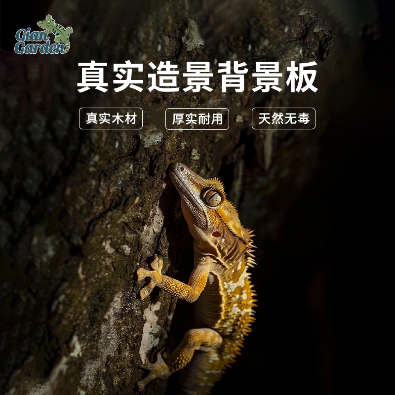 巨人爬宠饲养箱真实树皮背景板