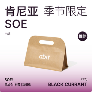 abit肯尼亚水洗SOE中烘焙咖啡豆 227g