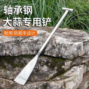 包邮 园艺工具钢锹大铲子户外挖土铲子花园植树工具加厚大蒜钢铲子