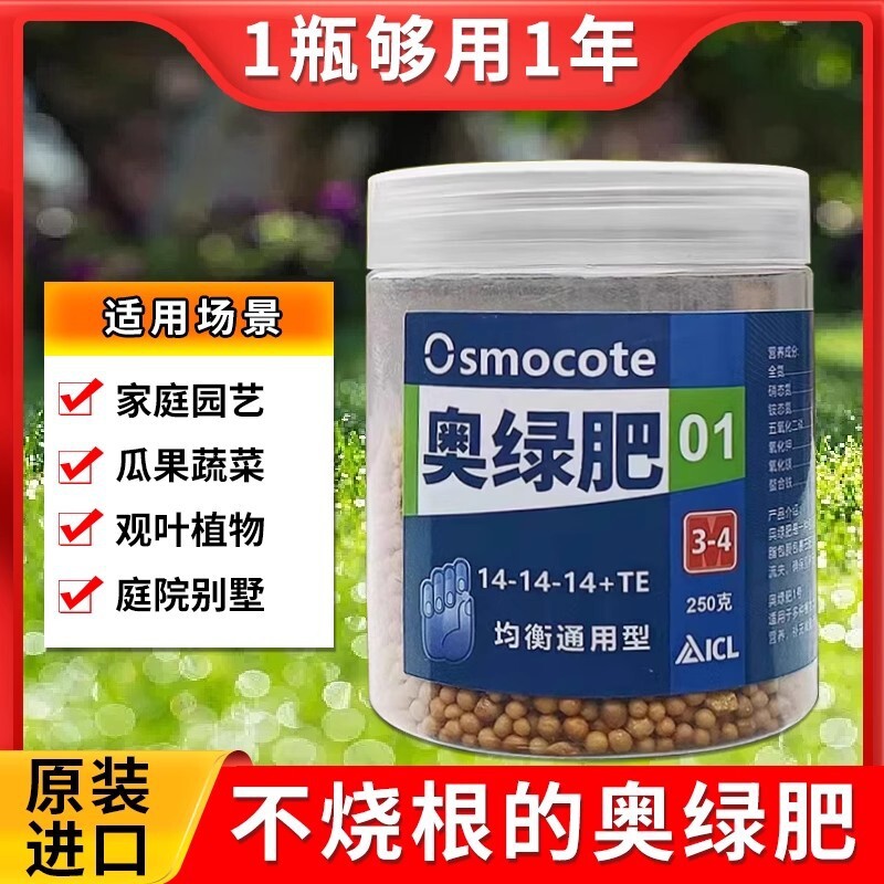 进口奥绿肥多肉兰花318S月季型欧