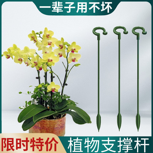 园艺支撑架蝴蝶兰固定