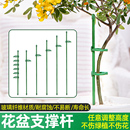 植物支撑杆蝴蝶兰支架绣球花架子金钱树龟背竹月季 花枝固定防倒伏