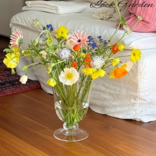 玻璃花瓶摆件客厅插花高级感水培透明水养水晶落地餐桌创意装饰