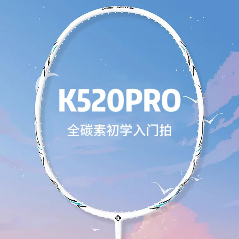 薰风羽毛球拍正品超轻耐打k520Pro碳素纤维成人专业熏风单拍CA07 运动/瑜伽/健身/球迷用品 羽毛球拍 原图主图