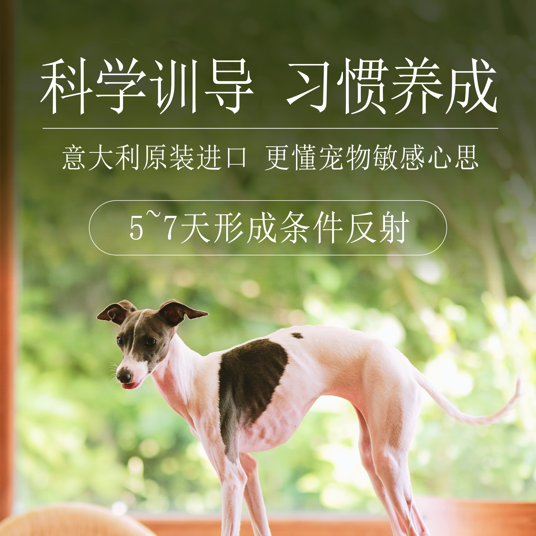 幼宝习惯养成诱导喷雾Puff/帕芙