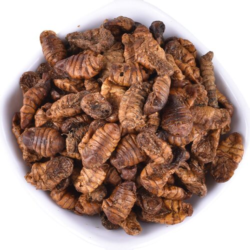 现货蝉蛹干干蚕蛹供应上千种材代磨粉
