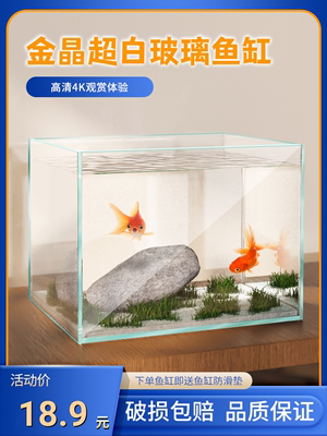 玻璃孔雀中小型鱼缸造景鱼缸斗鱼