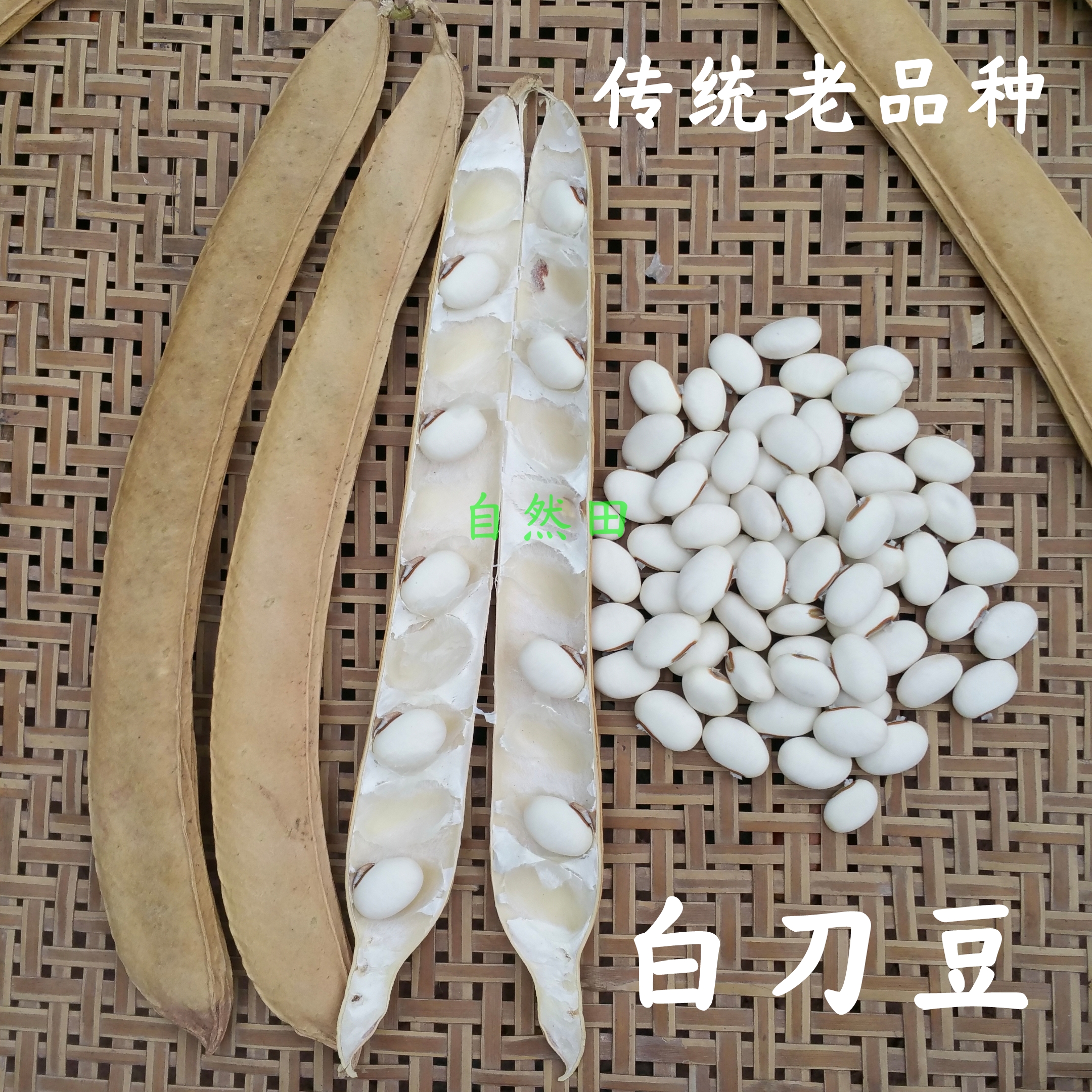 四川本地老品种大白刀豆农家自留老品种刀疤豆炖汤老式非转