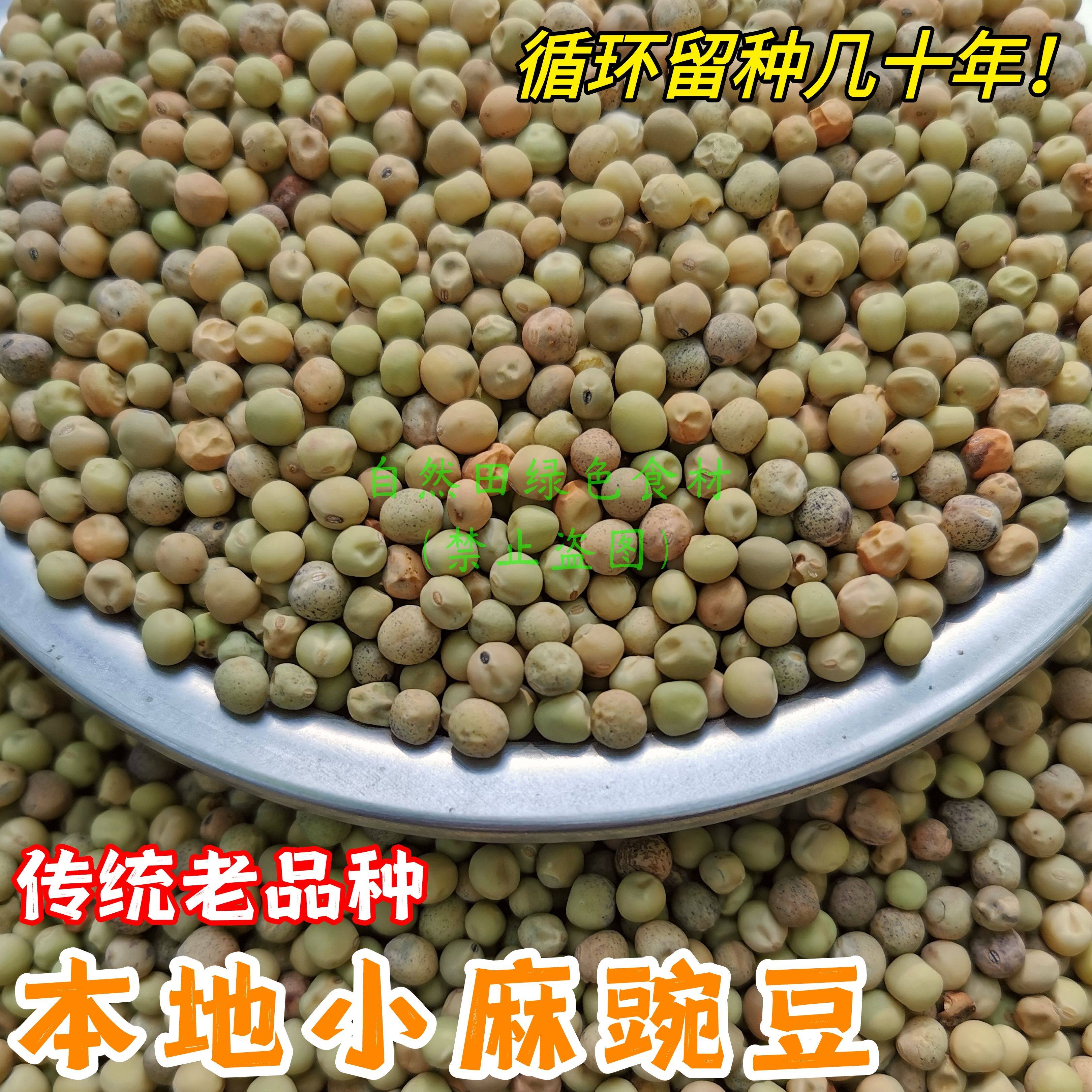 四川老品种小麻豌豆农家自留老品种本地土豌豆老式非转可发豆苗