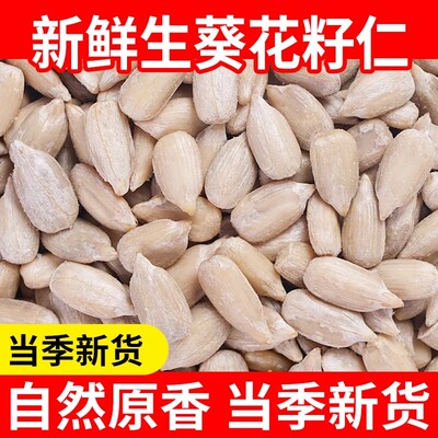 【净重】精选内蒙瓜子仁炒熟新货生葵花籽仁原味生瓜子仁烘培月饼