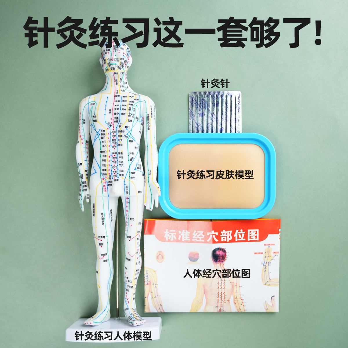 大学中医推荐专业针灸练习包