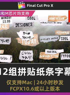 finalcut插件12组撕纸人名条褶皱拼贴纸条人物介绍字幕条fcpx插件