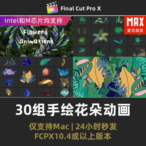 fcpx插件汉化婚礼派对活动美妆种草30组手绘花朵动画finalcut插件