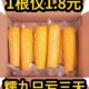 非转基因即食粘玉 包邮 正宗东北黄糯玉米新鲜玉米10根真空包装 产地