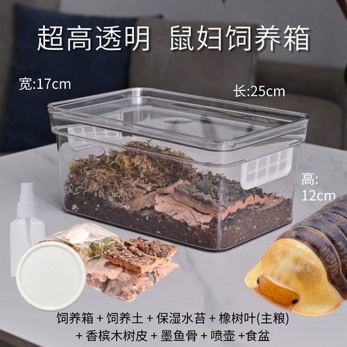 高透高颜值鼠妇饲养盒一套配齐