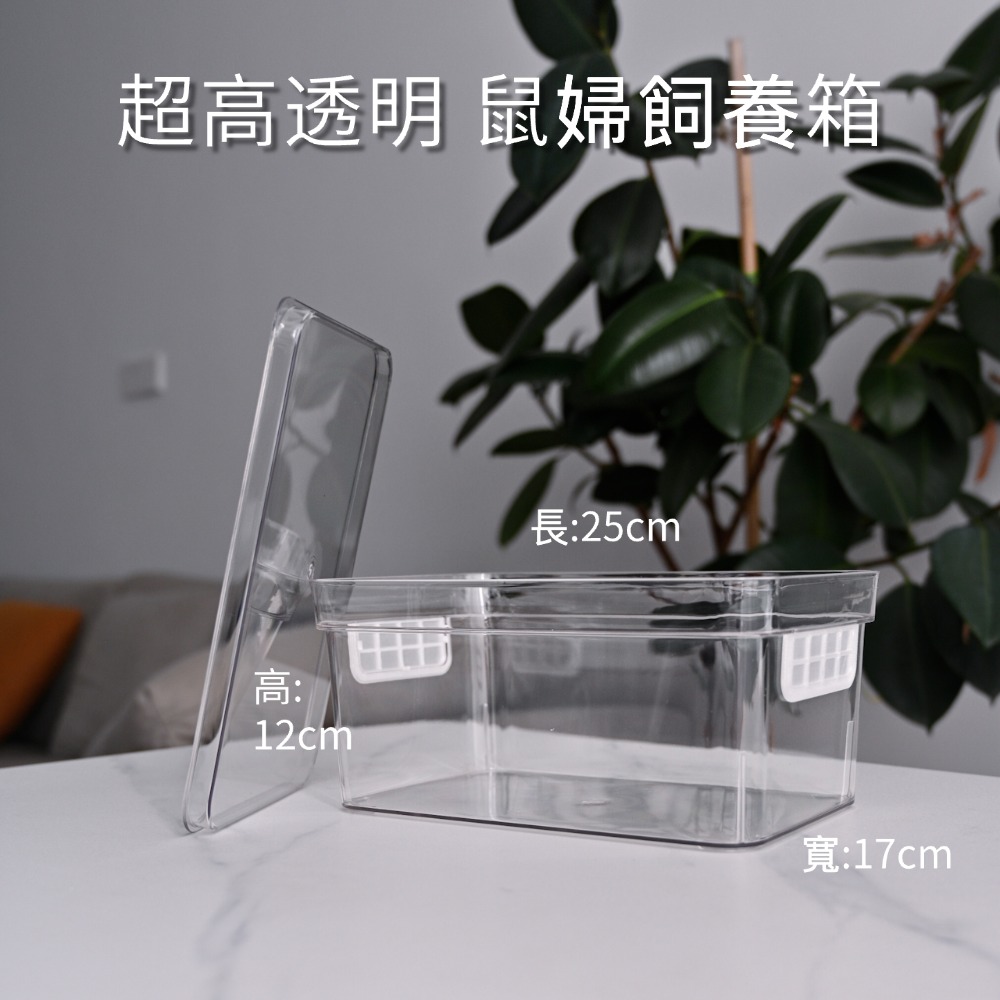 超好看鼠婦飼養盒透氣通風